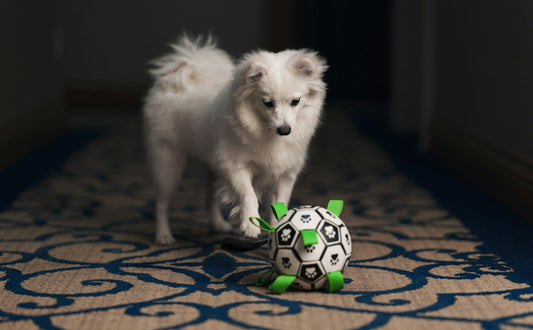 Hundespielzeug für energiegeladene Riesen - PAWSOMETIME