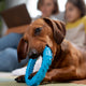 Interaktives Kauspielzeug für Hunde Mehr als nur Spaß - PAWSOMETIME