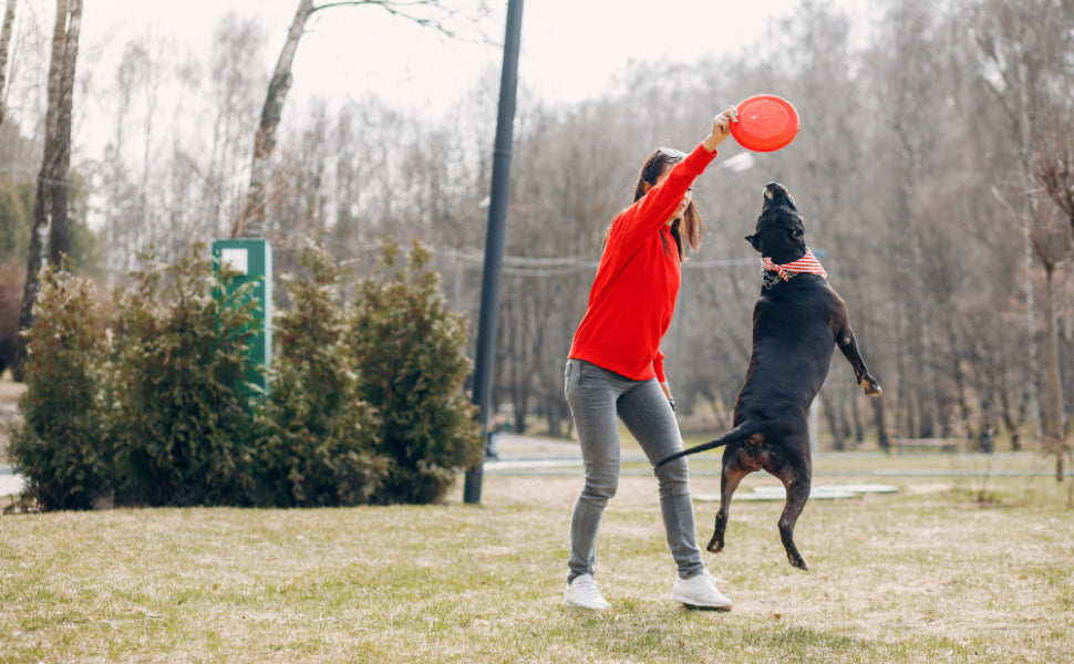 Hundespielzeug - Pawsometime
