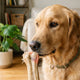 Kauknochen für Hunde - PAWSOMETIME