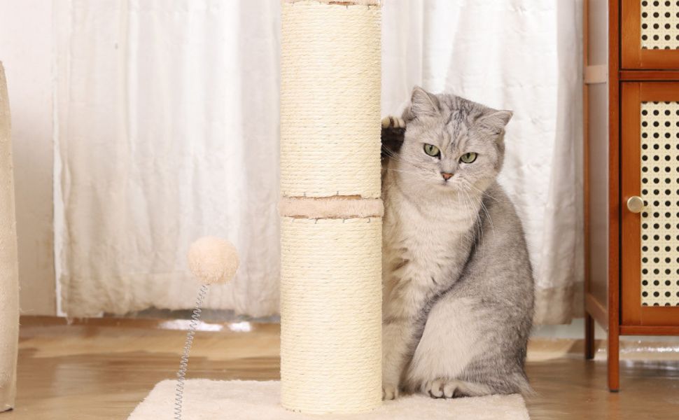 Der Materialratgeber für Kratzbäume für Senior-Katzen - Pawsometime