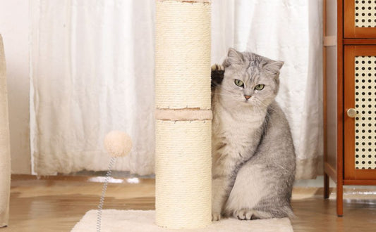 Der Materialratgeber für Kratzbäume für Senior-Katzen - Pawsometime