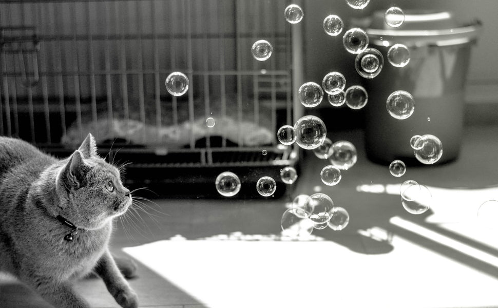 Kratzbrett Katze - Pawsometime