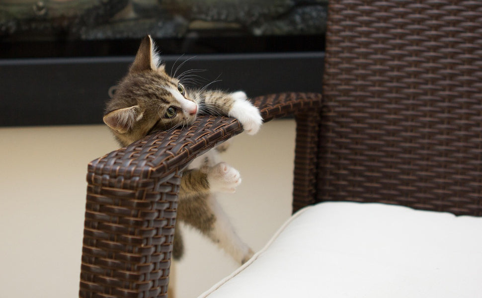 Kratzbrett Katze - Pawsometime