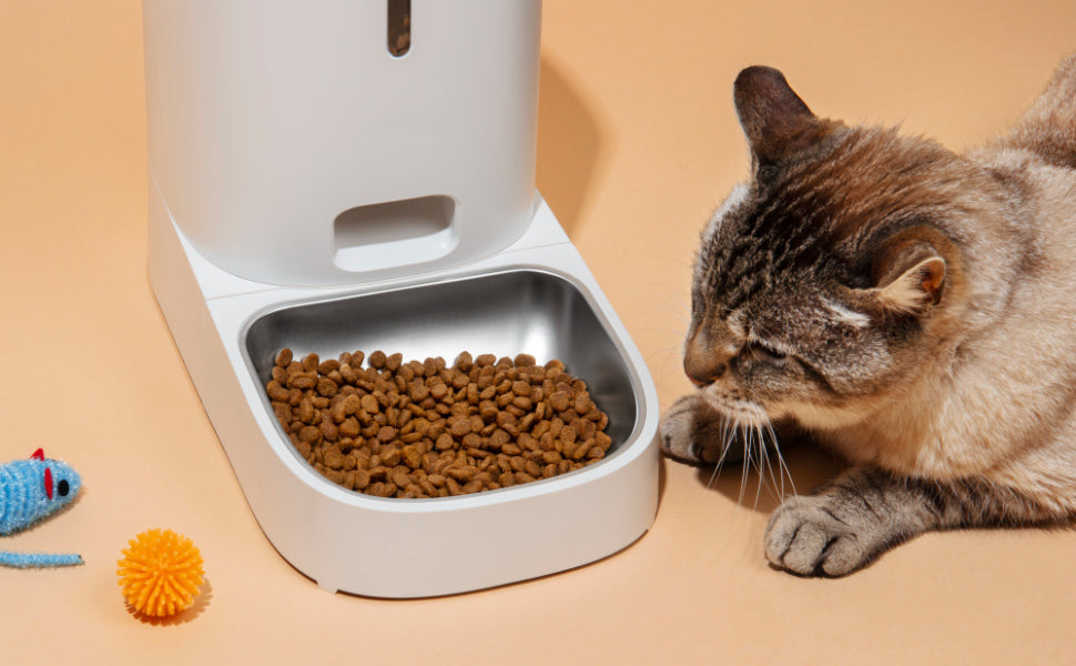 Katzenspielzeug Futter - Pawsometime