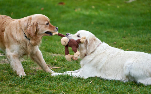 Kuscheltier für den Hund - PAWSOMETIME