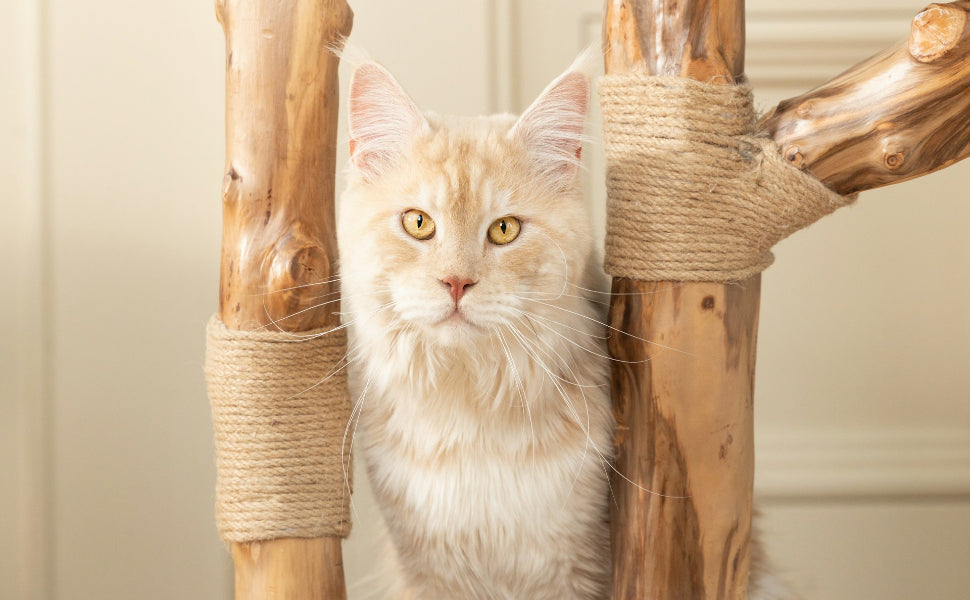 Naturkratzbaum Katze - Pawsometime