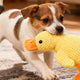 Kuscheltier für Hunde einführen schritt für schritt - PAWSOMETIME