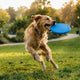 Multifunktions-Hundefrisbee Spielzeug Futter Wasserspender - PAWSOMETIME