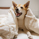 kuscheltier für hunde unkaputtbar - PAWSOMETIME