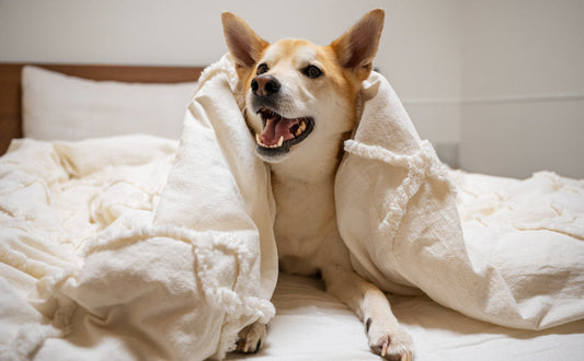 kuscheltier für hunde unkaputtbar - PAWSOMETIME