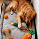 Spielverhalten verstehen für nachhaltige Hundespielzeuge - PAWSOMETIME
