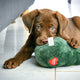 Hund Kuscheltiere - Pawsometime