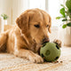 futterball hund - PAWSOMETIME