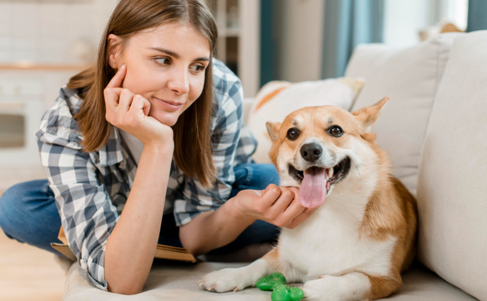 Kauspielzeug Hund - Pawsometime