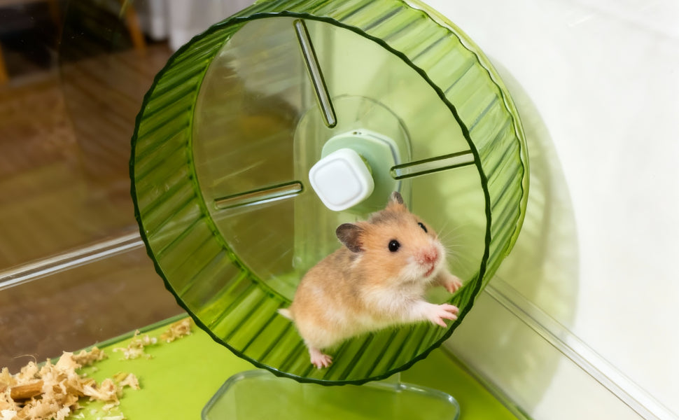 Hamsterrad Hamster - Pawsometime