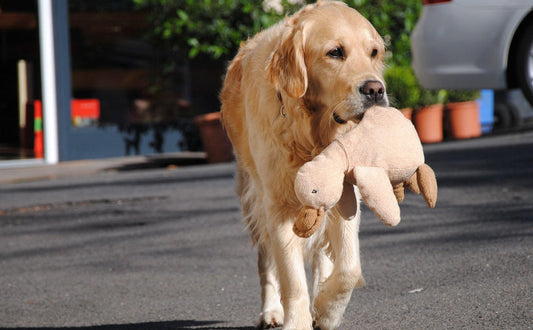 Kuscheltier für Hunde - Pawsometime