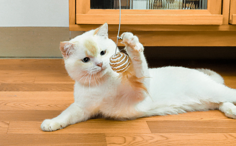 Katzenangel - Pawsometime