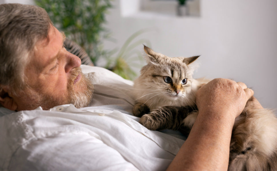 kratzbaum haengematte - Pawsometime