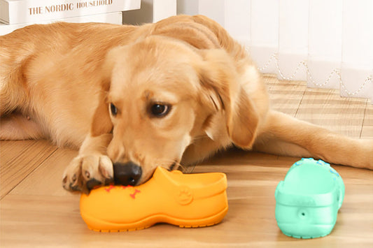 Warum zerkauen Hunde Kuscheltiere Motive und Altersfaktoren - PAWSOMETIME