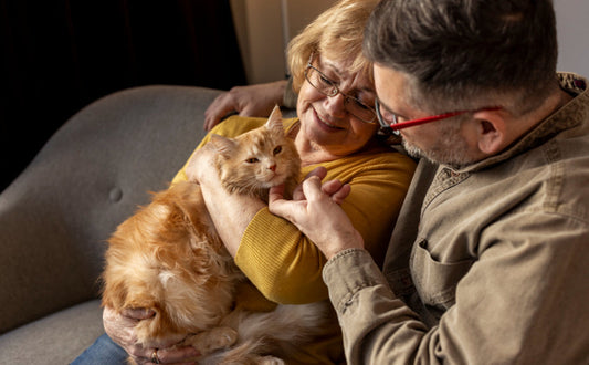 Kuscheltier für Katze - Pawsometime