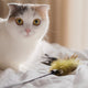 Katze Spielzeug - Pawsometime