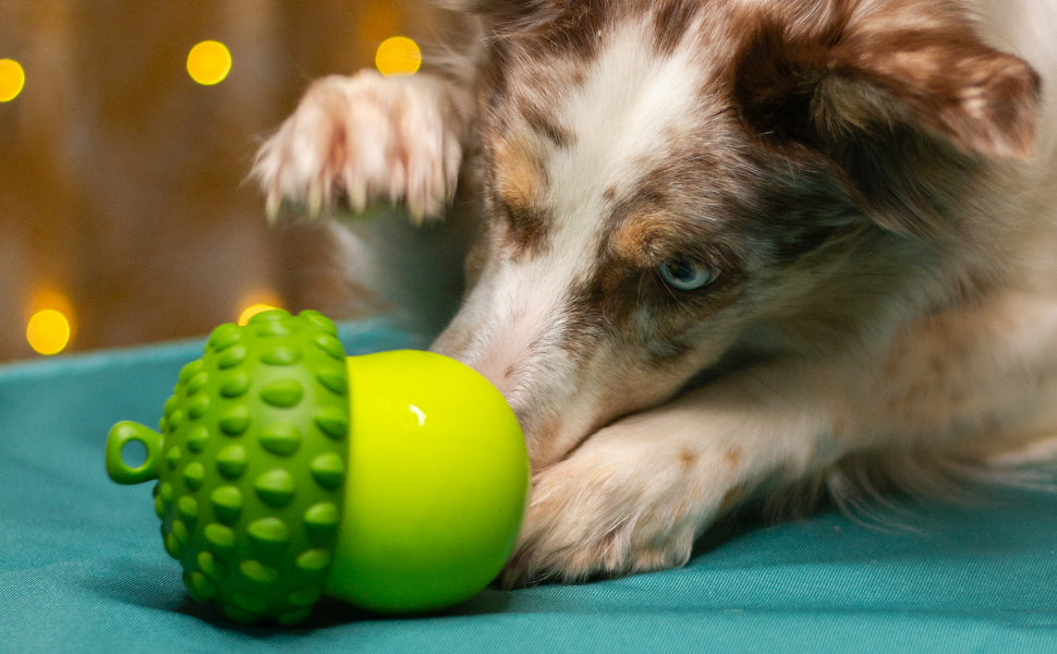 Hundespielzeug Gummi - Pawsometime
