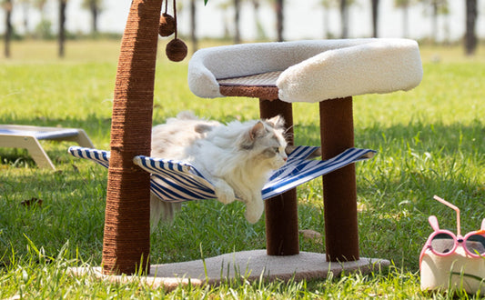 Stoff Kratzbaum - Pawsometime