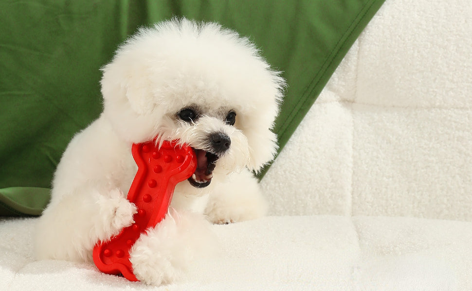 Hunde Intelligenzspielzeug - Pawsometime