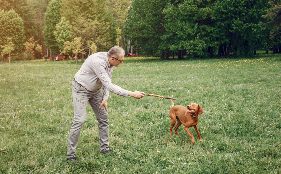 Beschäftigungsspielzeug für Hunde - PAWSOMETIME