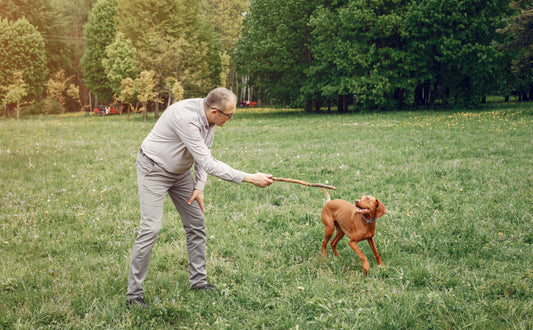 Beschäftigungsspielzeug für Hunde - PAWSOMETIME