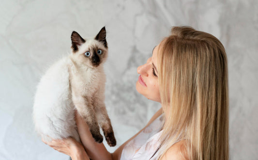 große Kratzbäume für Katzen - Pawsometime