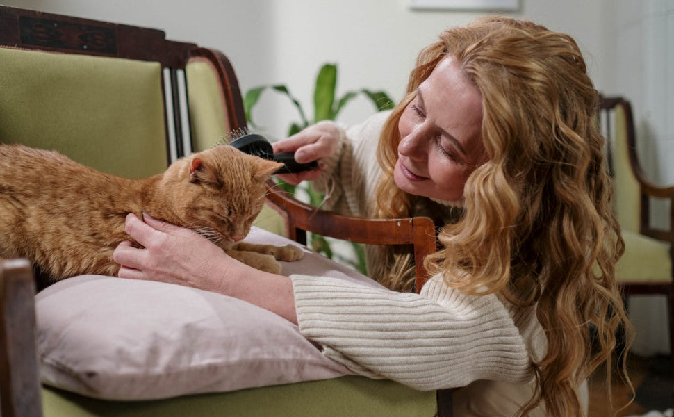 Präsente für Katzen zum Valentinstag - Pawsometime
