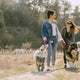 interaktives Spielzeug Hund - Pawsometime