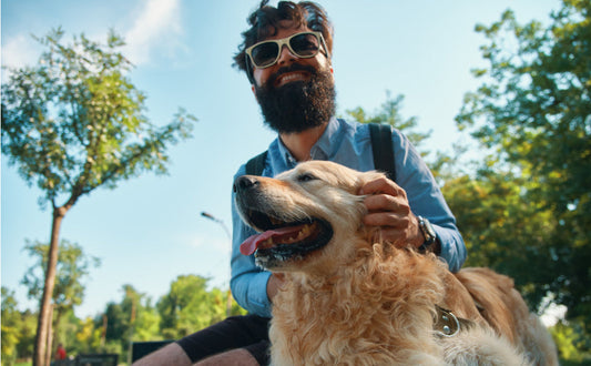 Hundespielzeug Unzerstörbar - Pawsometime