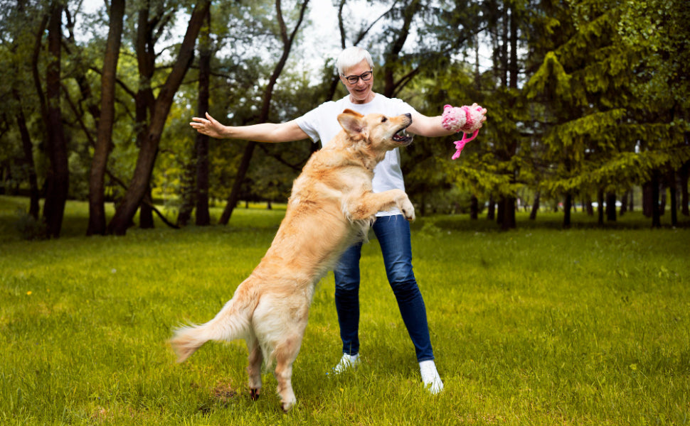 Hundespielzeug große Hunde - Pawsometime