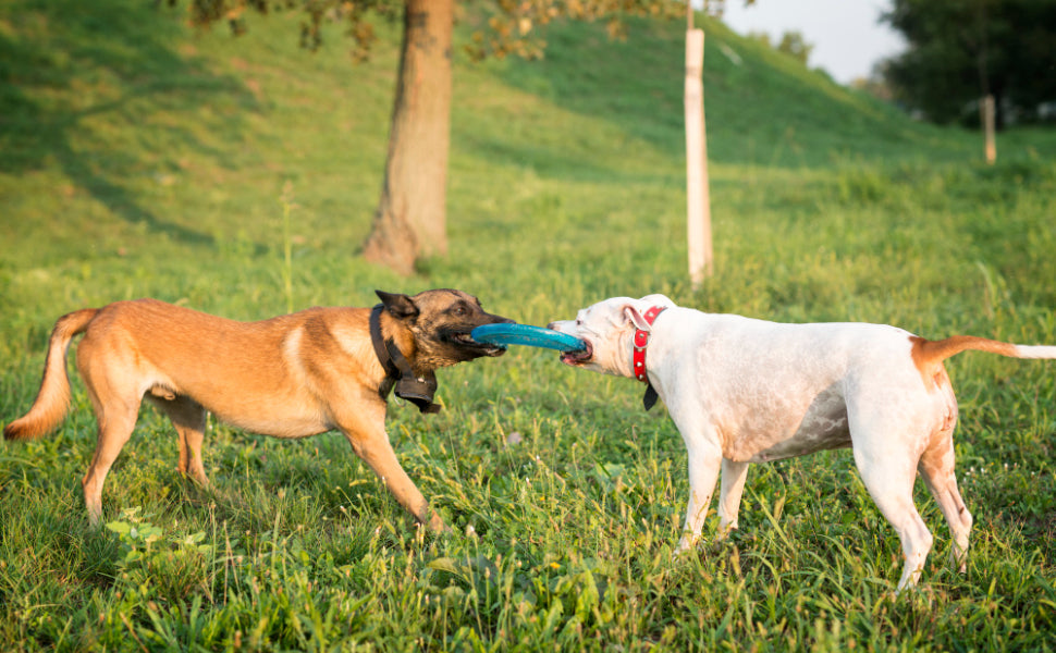 zerrspielzeug hund - PAWSOMETIME