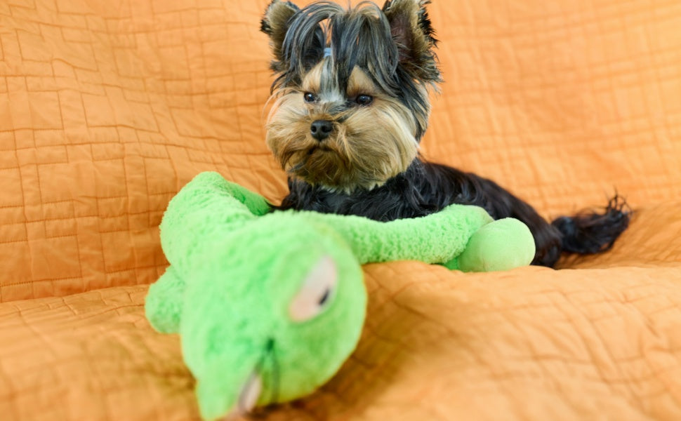 Hund Kuscheltiere - PAWSOMETIME