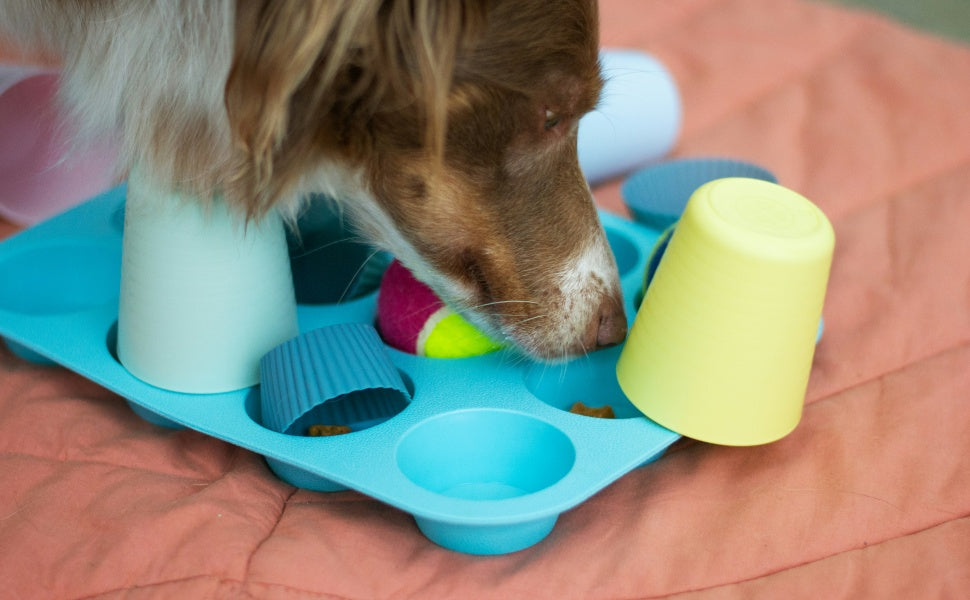 Schnüffelmatte für Hunde - PAWSOMETIME