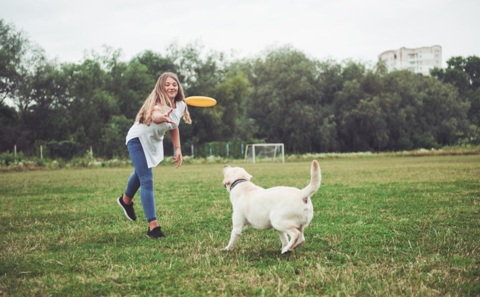 Mensch und Hund spielen zusammen Frisbee - PAWSOMETIME