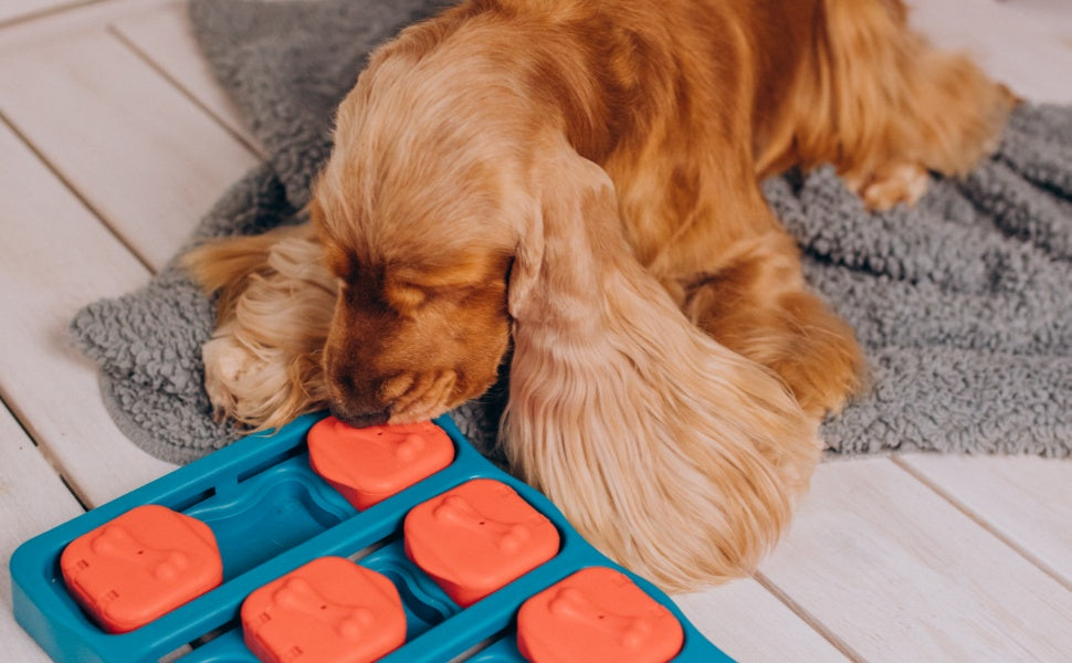 Hundefutterspielzeug - PAWSOMETIME