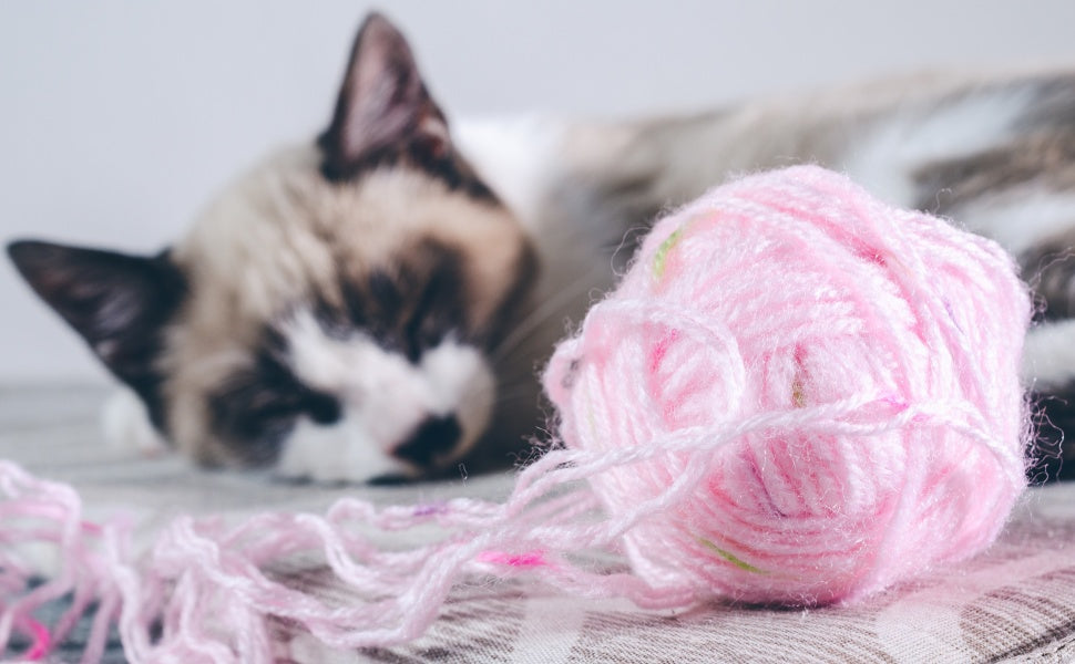 Interaktives Katzenspielzeug vs. Selbstbeschäftigung: Welche Spielzeuge passen zu Ihrer Katze? -  PAWSOMETIME
