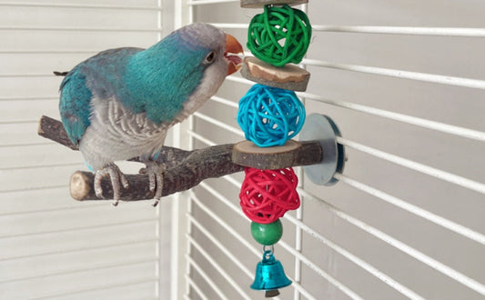 wellensittich spielzeug - PAWSOMETIME