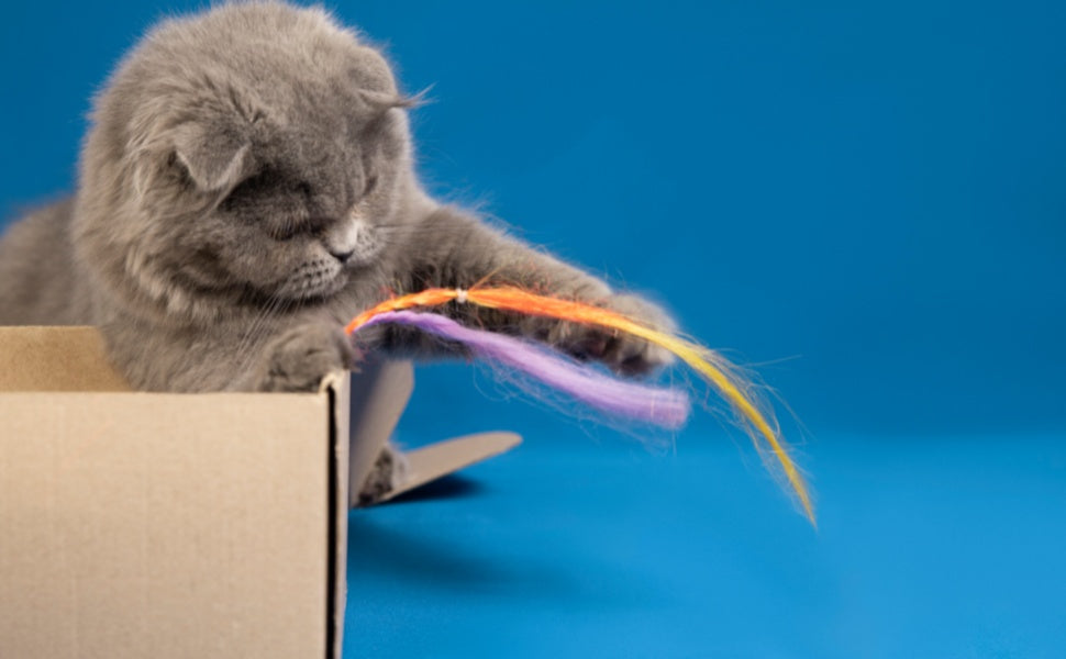 Katzenspielzeug -  PAWSOMETIME