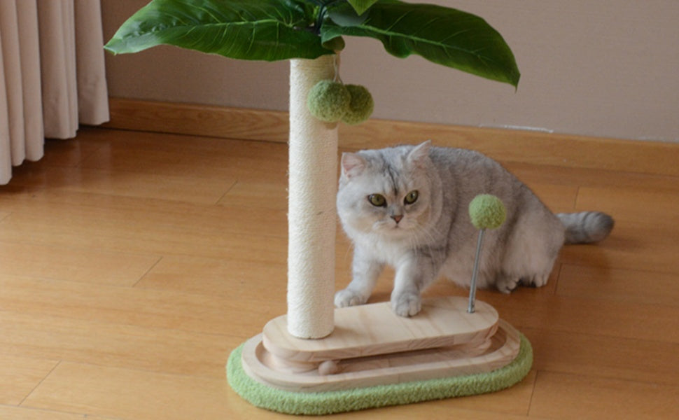 Kratzbaum für Wohnungskatzen: Ihr Leitfaden für Sicherheit, Langlebigkeit und Spielspaß - PAWSOMETIME