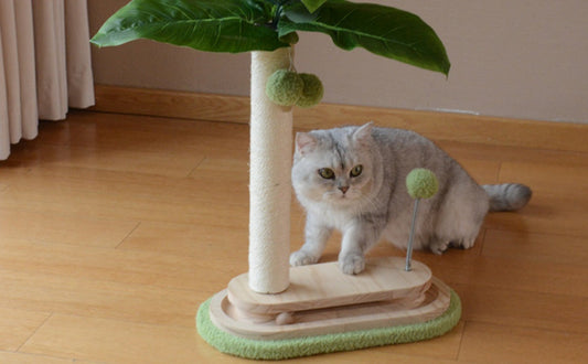 Kratzbaum für Wohnungskatzen: Ihr Leitfaden für Sicherheit, Langlebigkeit und Spielspaß - PAWSOMETIME