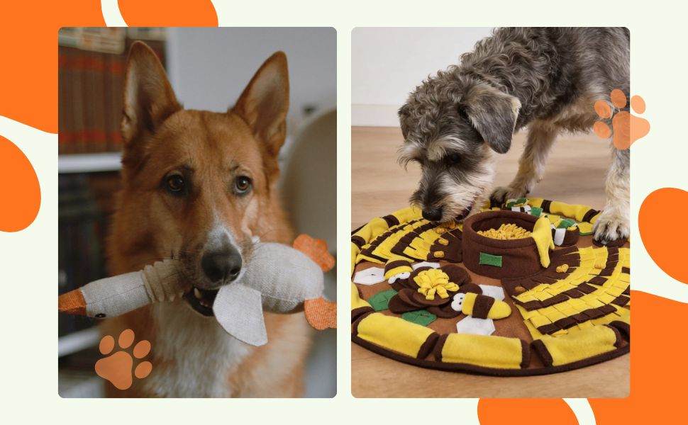 Plüschtier vs. Intelligenzspielzeug: Welches Spielzeug fördert Ihren Welpen am besten?