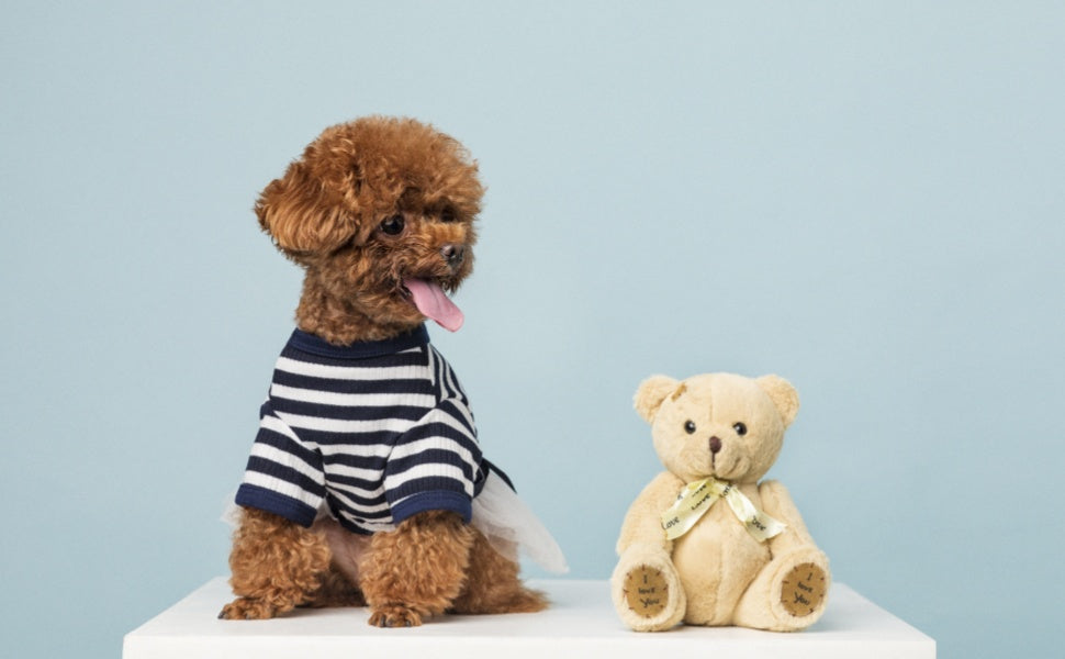 Kuscheltier für Hunde -  PAWSOMETIME