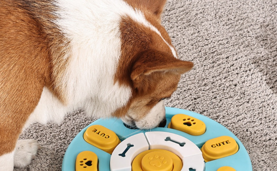 Interaktives Hundespielzeug für kleine Hunde: Schluss mit Langeweile und Zerstörungswut! -  PAWSOMETIME