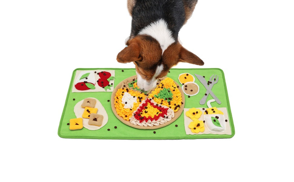 Schnüffelmatten-Frust adé: Die häufigsten Fehler und wie Sie sie einfach vermeiden -  PAWSOMETIME